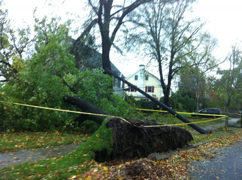 Hurricane Sandy Destruction 9